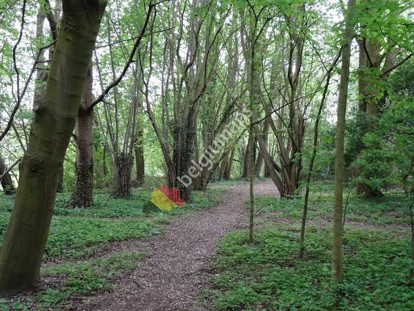 Sint-Baafskouter park