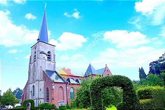 Sint-Martinuskerk Halle (Kempen)