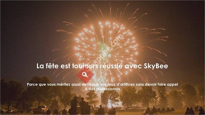 SkyBee