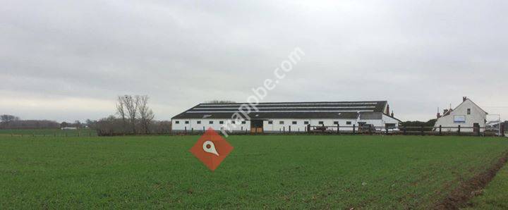 Stable 16 Dressage Jumping