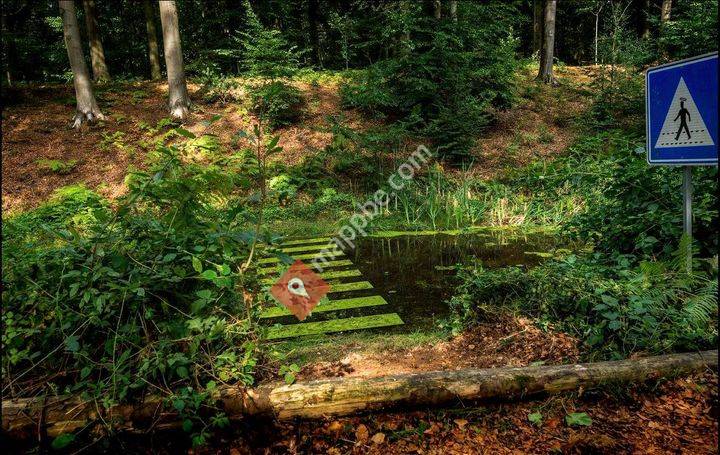 Symposium Sites en Ligne