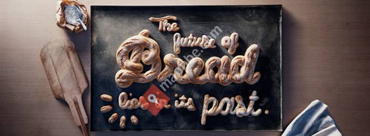 The Quest for Sourdough