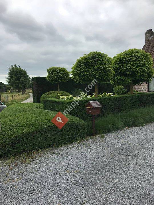 Tuinonderhoud Thomas Pinnewaert