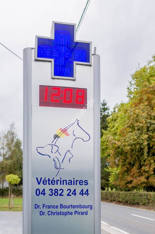 Vétérinaire petits animaux Bourtembourg France sur rendez-vous