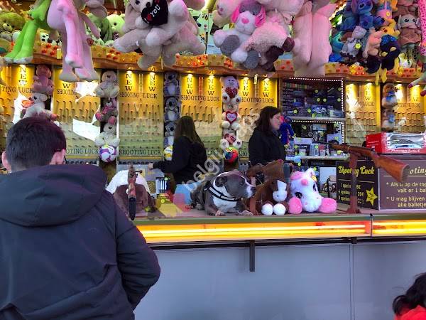 Westmalle Zandstraat